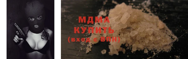 индика Новодвинск